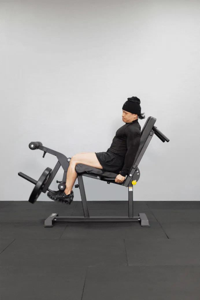 Body Iron Leg Extension & Prone Curl Machine