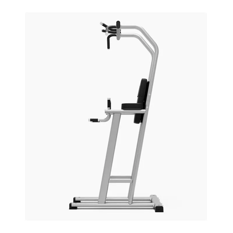 Exigo Chin Dip Leg Raise Station