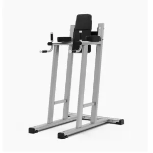 Exigo Leg Raise / Dip Station