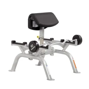 Standing Preacher Curl